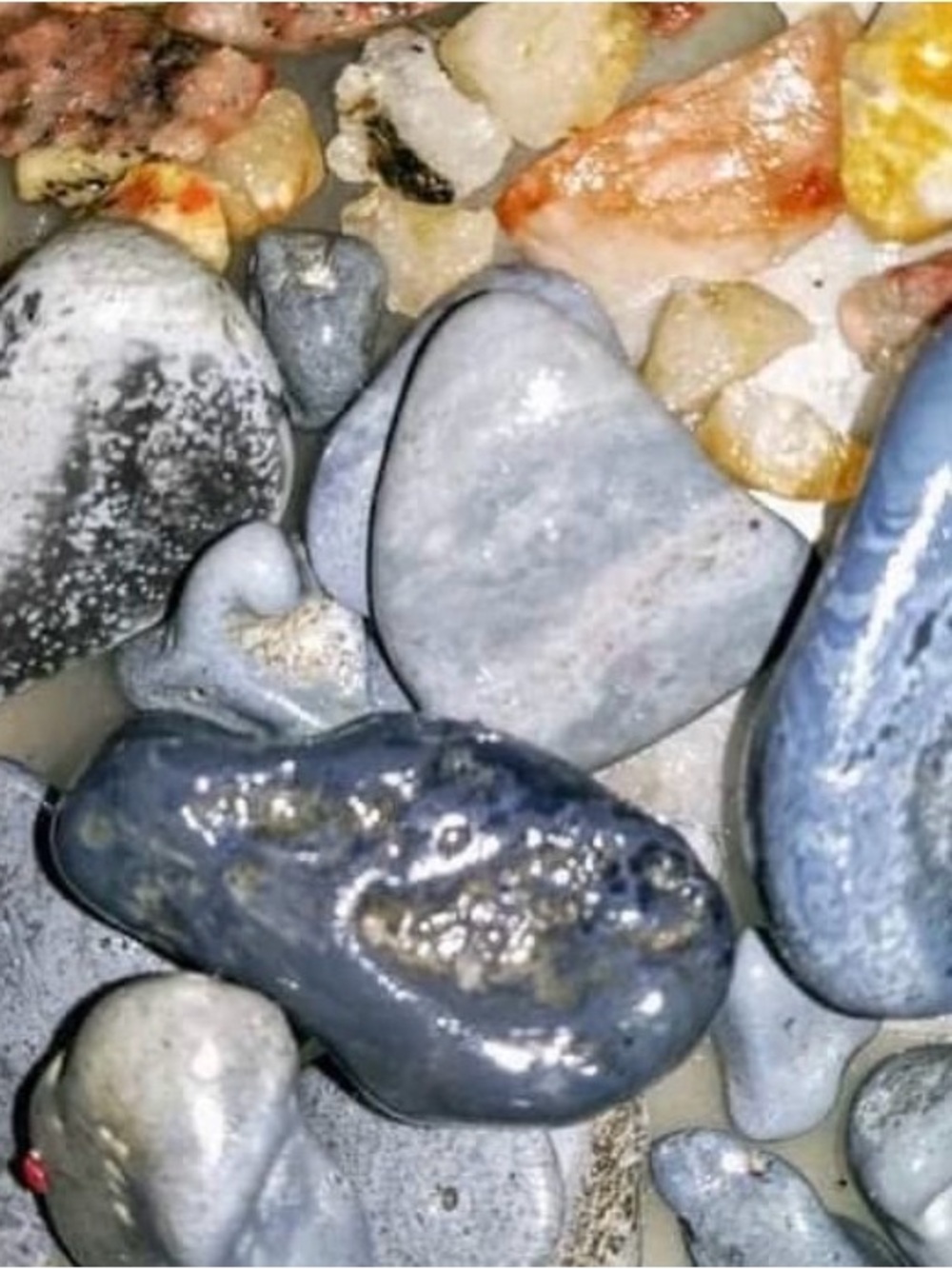 Lake Michigan Great Lakes Pallet. Yooperlites, fossils, beach glass, hag stones. - Picture 8 of 16